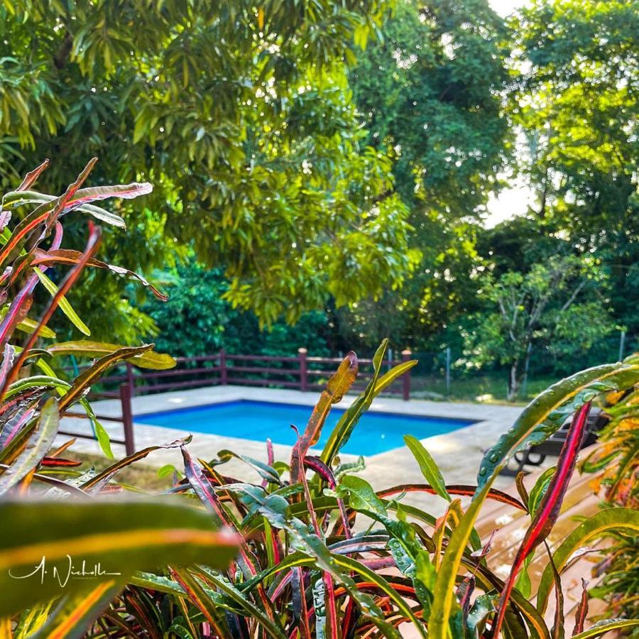 סקרבורו Tropical Apartments Tobago מראה חיצוני תמונה